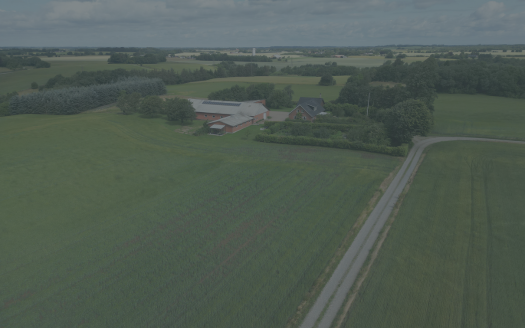 Nisset Sønderhede