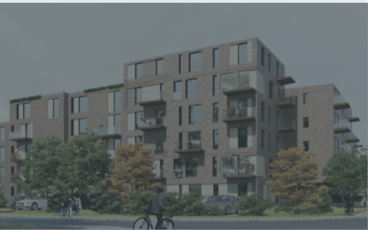 Rådgivning Solsikkevænget web